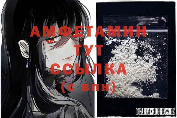 мяу мяу мука Нея