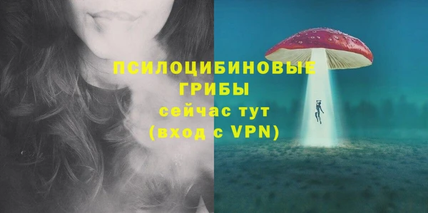 PSILOCYBIN Нефтекумск