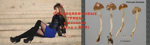 прущие грибы Нефтегорск