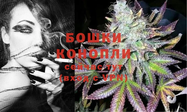 прущие грибы Нефтегорск