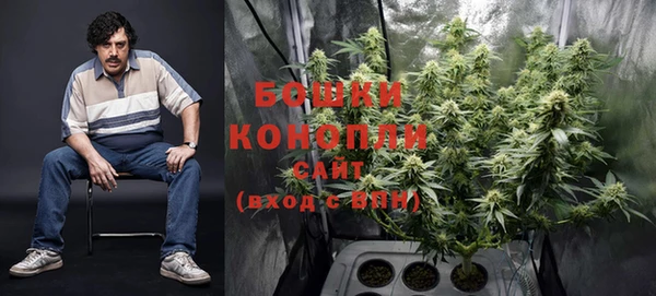 PSILOCYBIN Нефтекумск