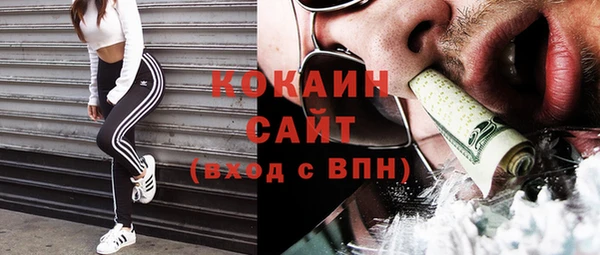 прущие грибы Нефтегорск