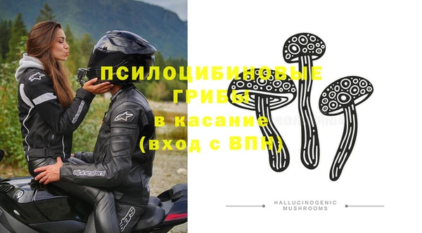 PSILOCYBIN Нефтекумск