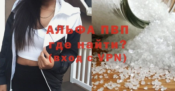 прущие грибы Нефтегорск