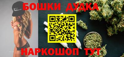 индика Балахна