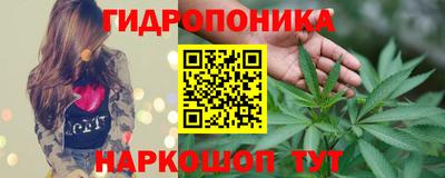 спайс Будённовск