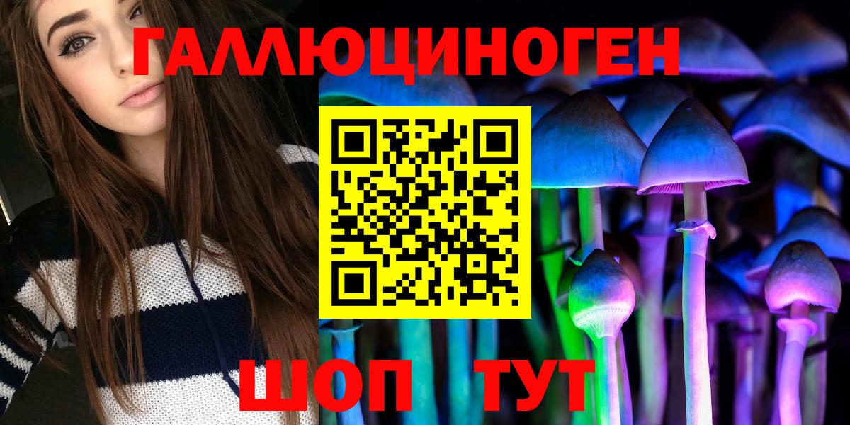 Владимир  Псилоцибиновые грибы Psilocybe  Галлюциногенные грибы мухоморы  Вход с VPN 