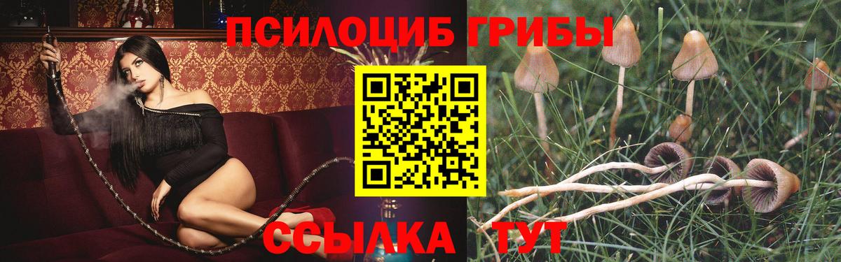 Псилоцибиновые грибы мухоморы Владимир