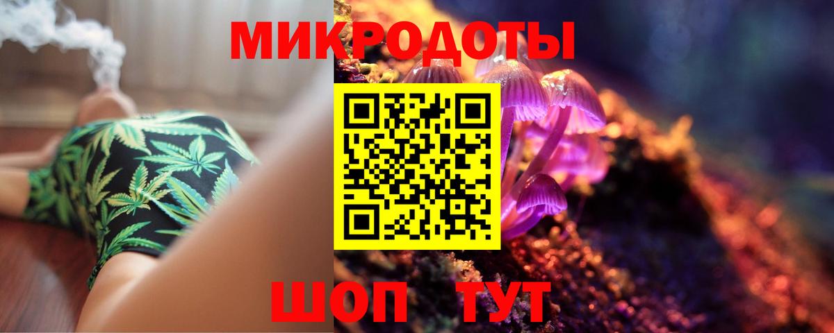 Галлюциногенные грибы мухоморы  Владимир  Галлюциногенные грибы Magic Shrooms 